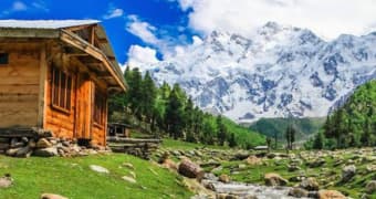 Log Cabins and Wooden Huts​